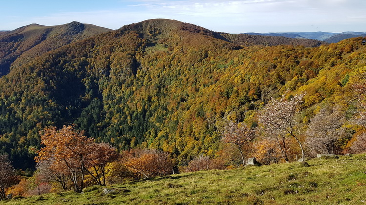 La Bresse été : www.petitecaille.fr